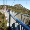 Photo of bridge at Grandfather